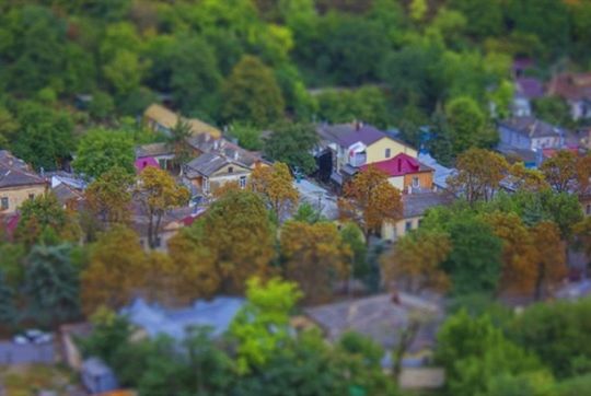 tree, building exterior, built structure, architecture, growth, house, selective focus, nature, day, roof, outdoors, plant, beauty in nature, focus on foreground, no people, residential structure, high angle view, residential building, green color, autumn