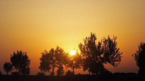 Silhouette trees on field against orange sky