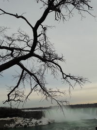 Bare tree by sea against sky