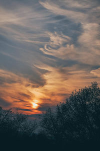 Low angle view of silhouette trees against sky during sunset