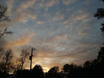 Low angle view of silhouette trees against sky