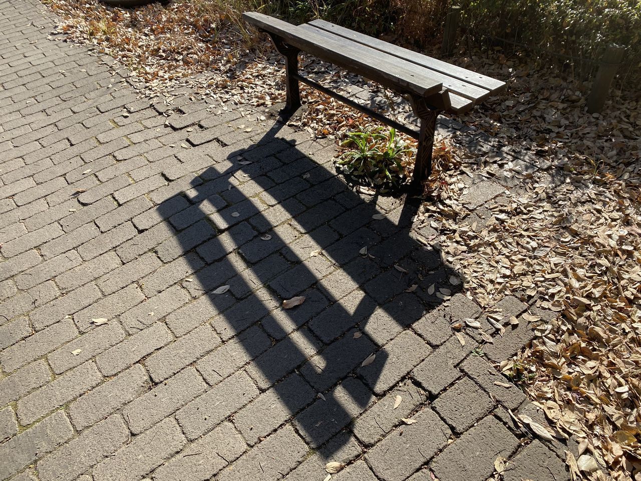 HIGH ANGLE VIEW OF BENCH ON STREET