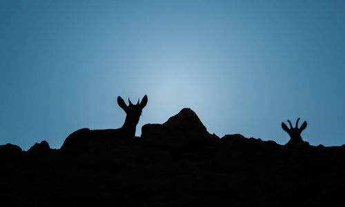 Low angle view of silhouette man standing on rock against clear blue sky