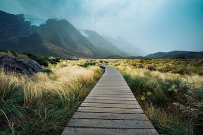 Boardwalk through field leading towards mt cook