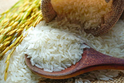 High angle view of rice