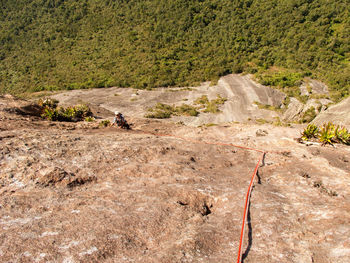 High angle view of rocks in forest