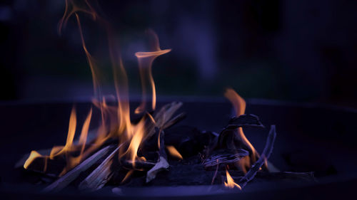 Close-up of burning candles