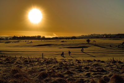 High angle view of people walking on golf course during sunset