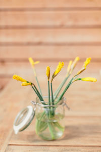 Close-up of vase on table