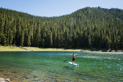 Man riding paddalboard on lake against forest