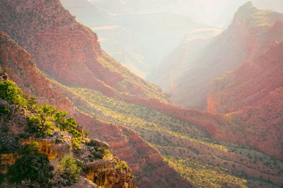 Scenic view of landscape