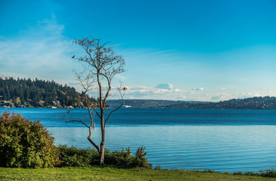 Scenic view of sea against blue sky