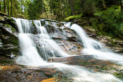 View of waterfall in forest