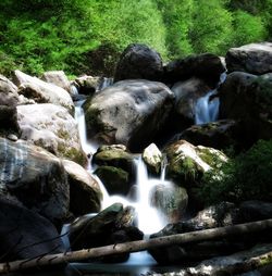 Scenic view of waterfall in forest