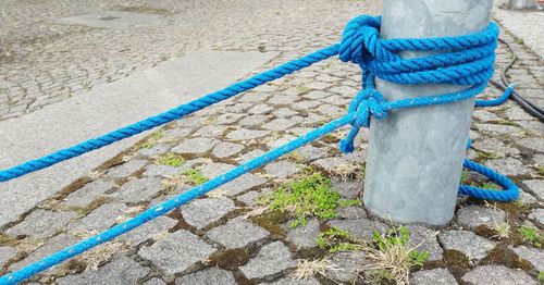 High angle view of rope tied on wood
