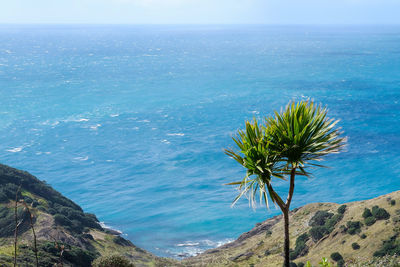 Scenic view of sea against clear blue sky