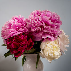 Close-up of pink flower vase against white background