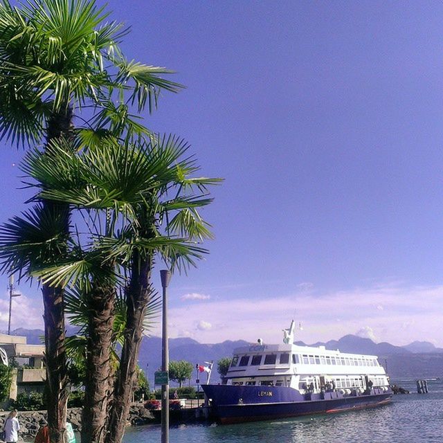 nautical vessel, transportation, mode of transport, boat, water, moored, sea, palm tree, sky, tree, waterfront, mast, travel, mountain, blue, sailboat, nature, sailing, scenics, beauty in nature