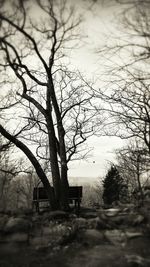 Bare tree against sky during winter