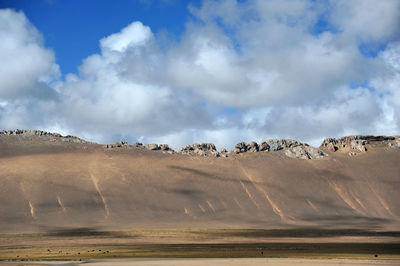 Flock of sheep on landscape against sky