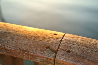 Close-up of wooden plank