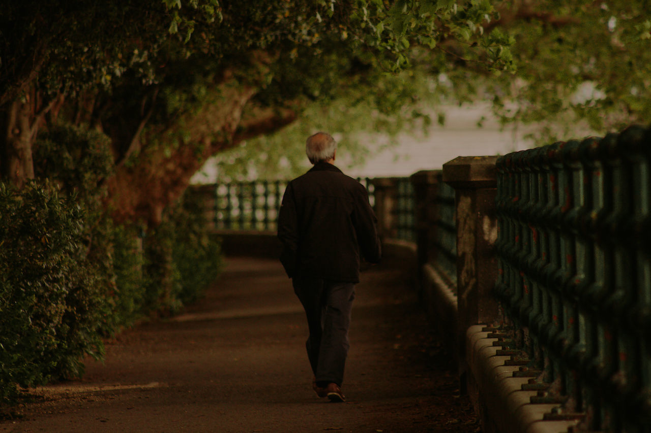 one person, full length, rear view, men, direction, the way forward, real people, walking, architecture, lifestyles, footpath, standing, nature, focus on foreground, males, leisure activity, built structure, senior adult, senior men