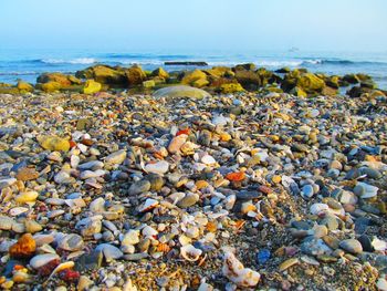 Close-up of pebbles on beach against sky