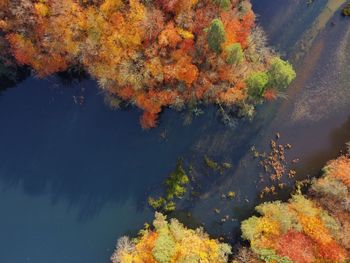 High angle view of trees by lake during autumn