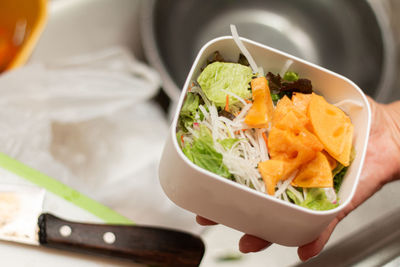 High angle view of salad and fruit in bento box 