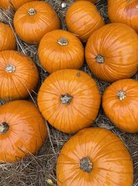 Full frame shot of pumpkins