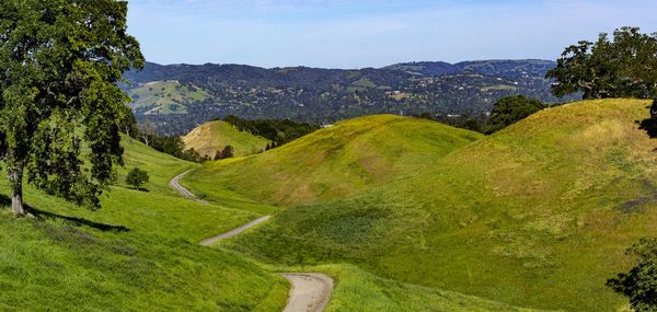 Rolling green hills next to suburban city