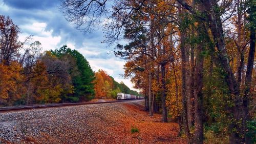 Road amidst trees in forest during autumn