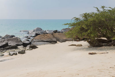 Scenic view of sea against clear sky