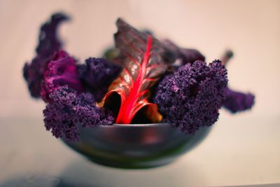 Close-up of purple flower on table