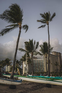 Palm trees by swimming pool in city against sky