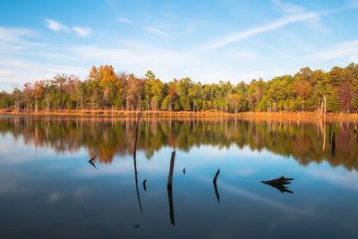 Reflection of trees in lake against sky