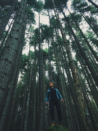 Low angle view of man in forest