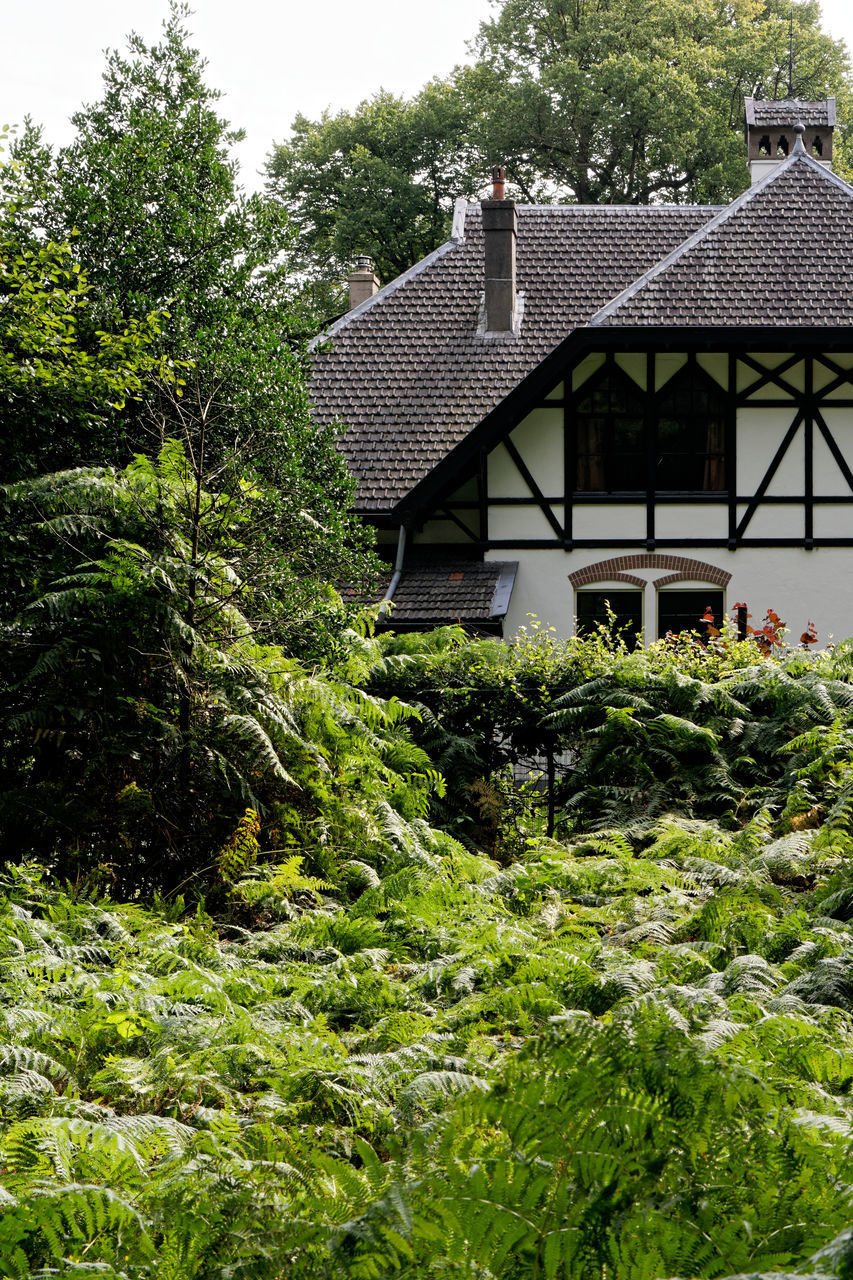 HOUSE AND TREES BY PLANTS