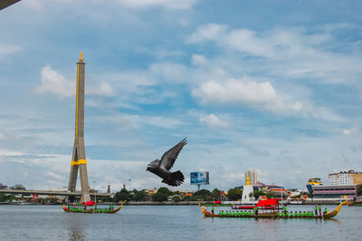 Seagull flying over river against sky