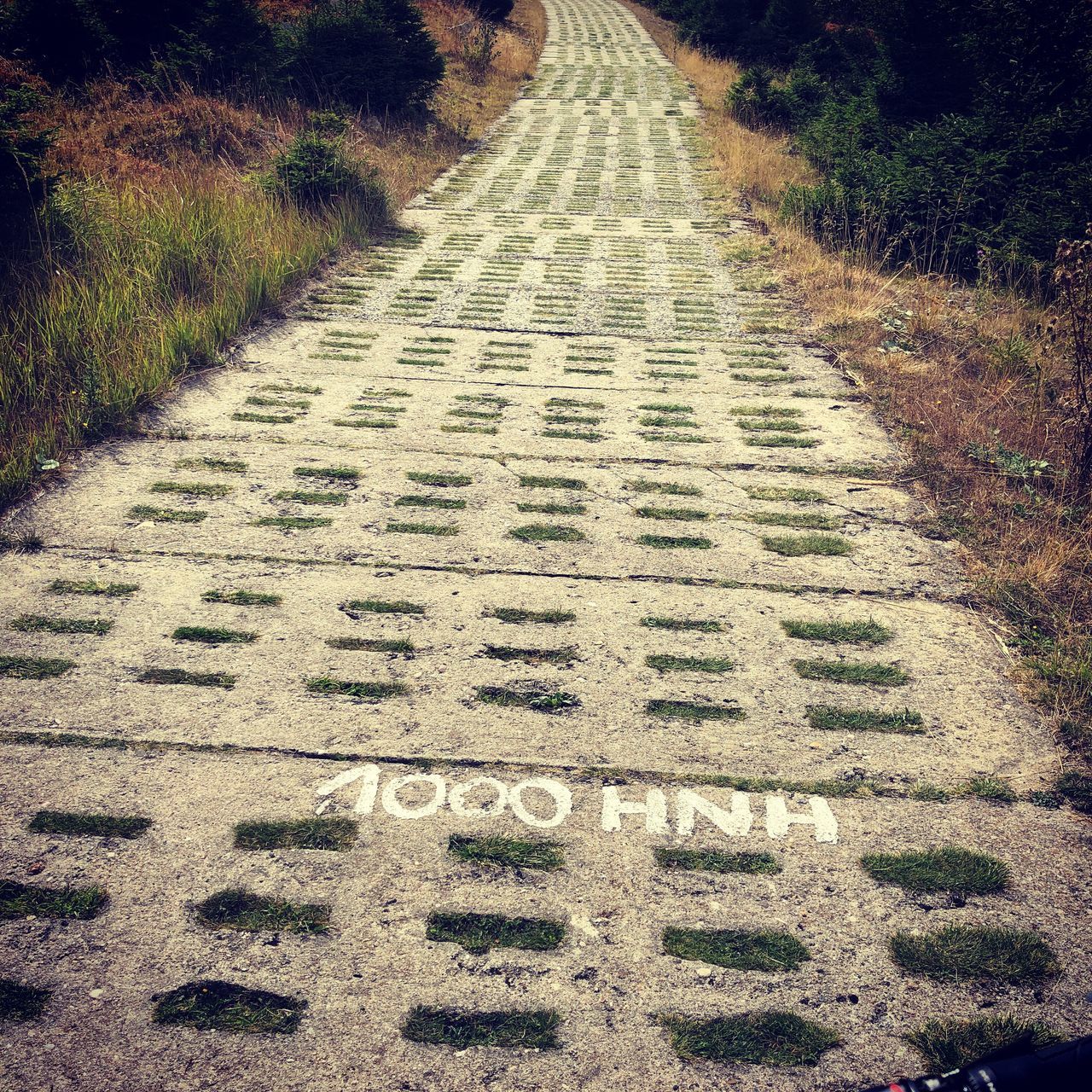 HIGH ANGLE VIEW OF TEXT WRITTEN ON ROAD