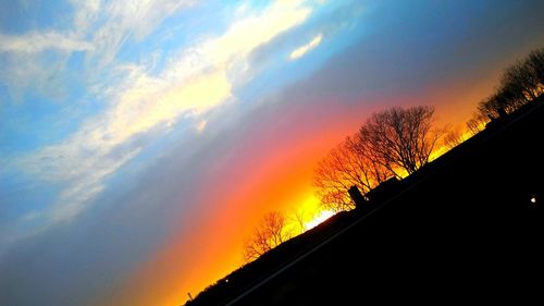 Scenic view of tree against sky at sunset