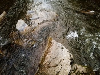 High angle view of wet rock