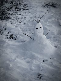 High angle view of sheep on snow