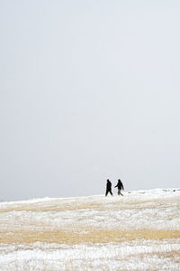 Dogs on beach against clear sky