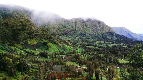 Green rural landscape in indonesia
