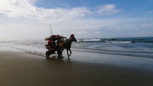 People riding horse on beach against sky