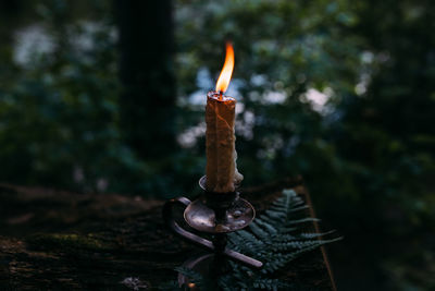 Close-up of burning candles on wood