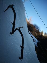 Low angle view of black horse on snow against sky