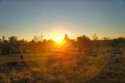 Scenic view of grassy field against sky at sunset