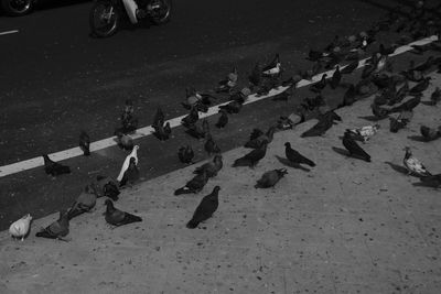 High angle view of people on street